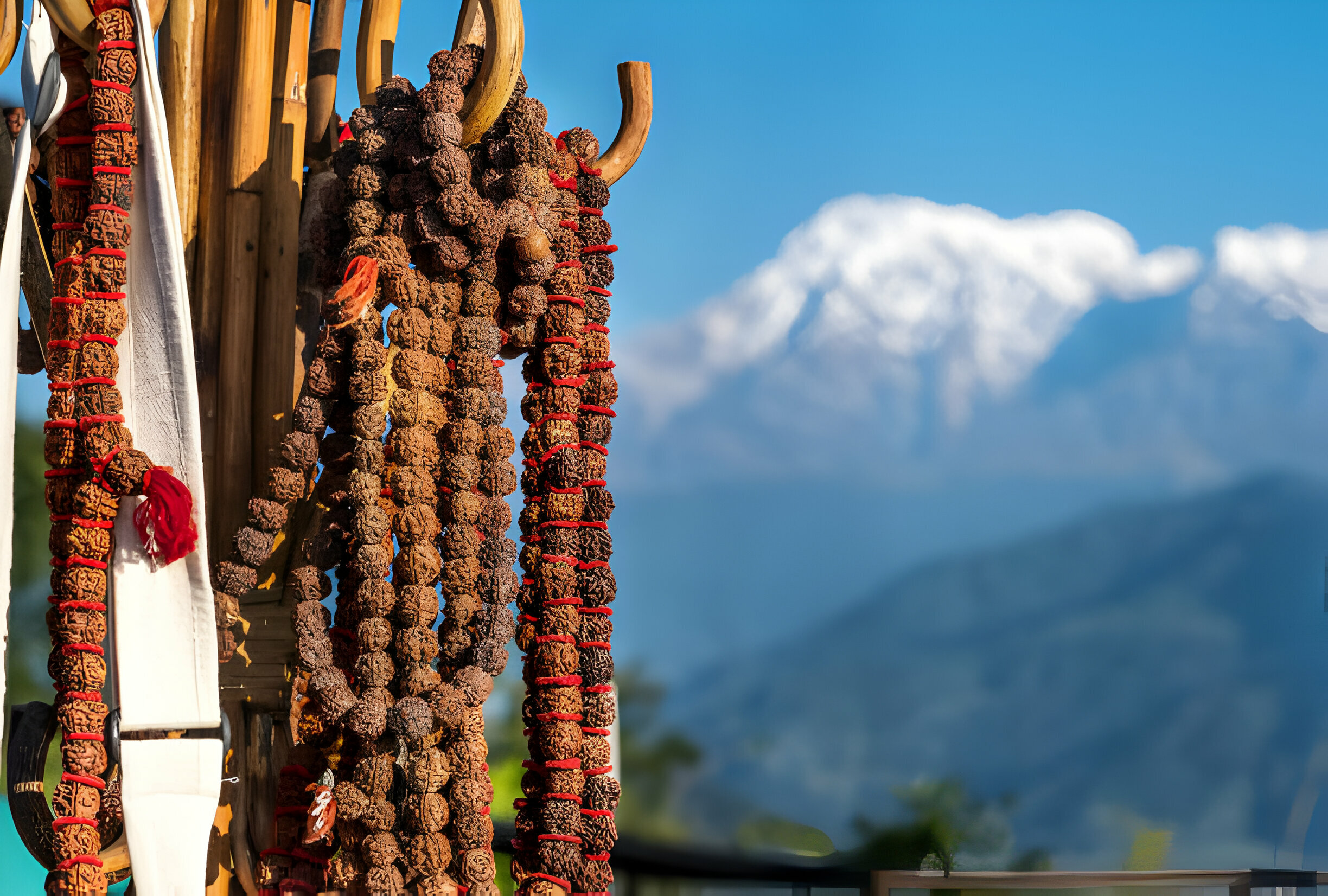 rudraksha_solarwater